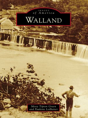 cover image of Walland